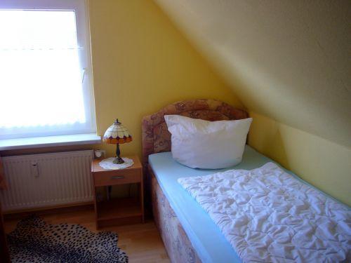 Kleine Robbe * Büsum